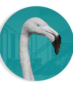 Flamingo Glasschilderij