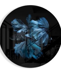 Betta Vis Glasschilderij