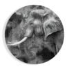 Olifant Glasschilderij