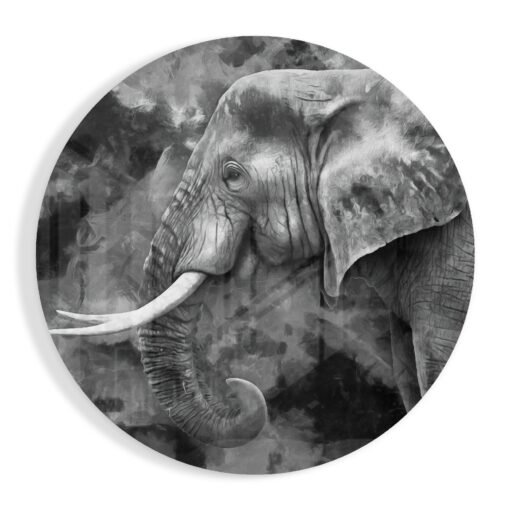 Olifant Glasschilderij