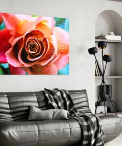 Oranje Roos Bloemen Glasschilderij - Afbeelding 5