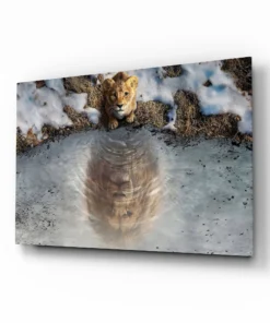 Glasschilderij Leeuwenwelp met Reflectie