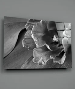 cam 3065 a 90c96fa6 f8c3 41d8 b68e 4376cf25ef05