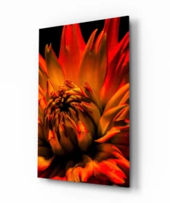 Oranje Bloem Glasschilderij