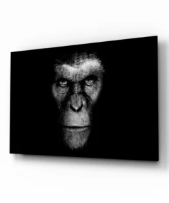 Gorilla Glasschilderij