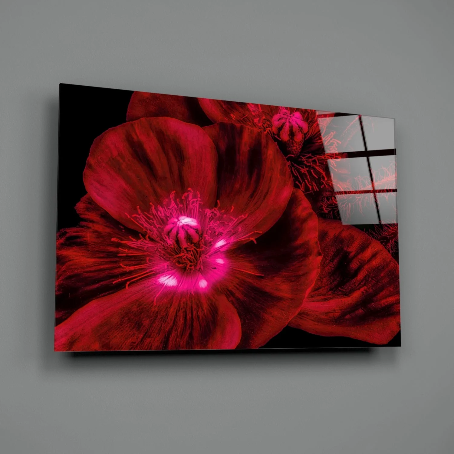 Bloemen Rood Glasschilderij - Afbeelding 3