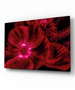 Bloemen Rood Glasschilderij