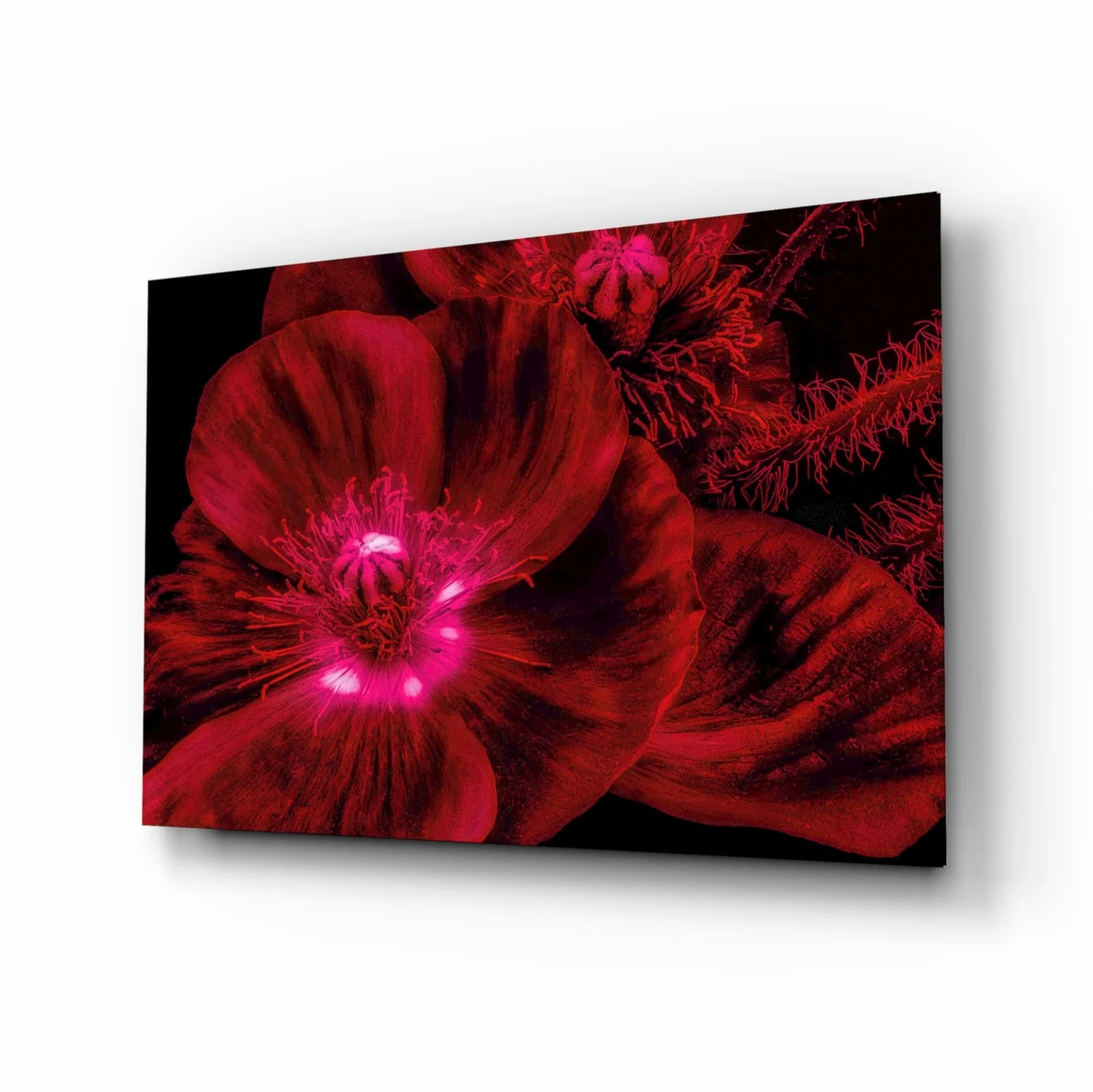Bloemen Rood Glasschilderij