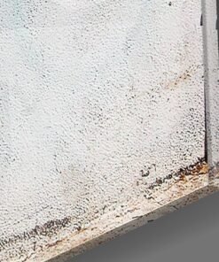 Alternative view of Glasschilderij Graffiti Neanderthaler