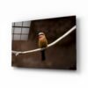 Vogel | Foto op glas | Glasschilderij