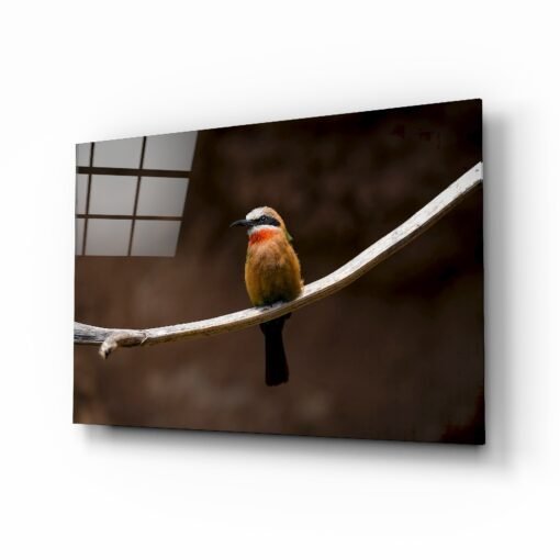Vogel | Foto op glas | Glasschilderij