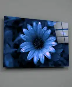 Glasschilderij Bloemen Madeliefje