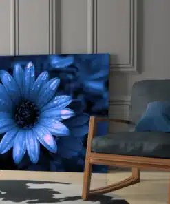 Glasschilderij Bloemen Madeliefje