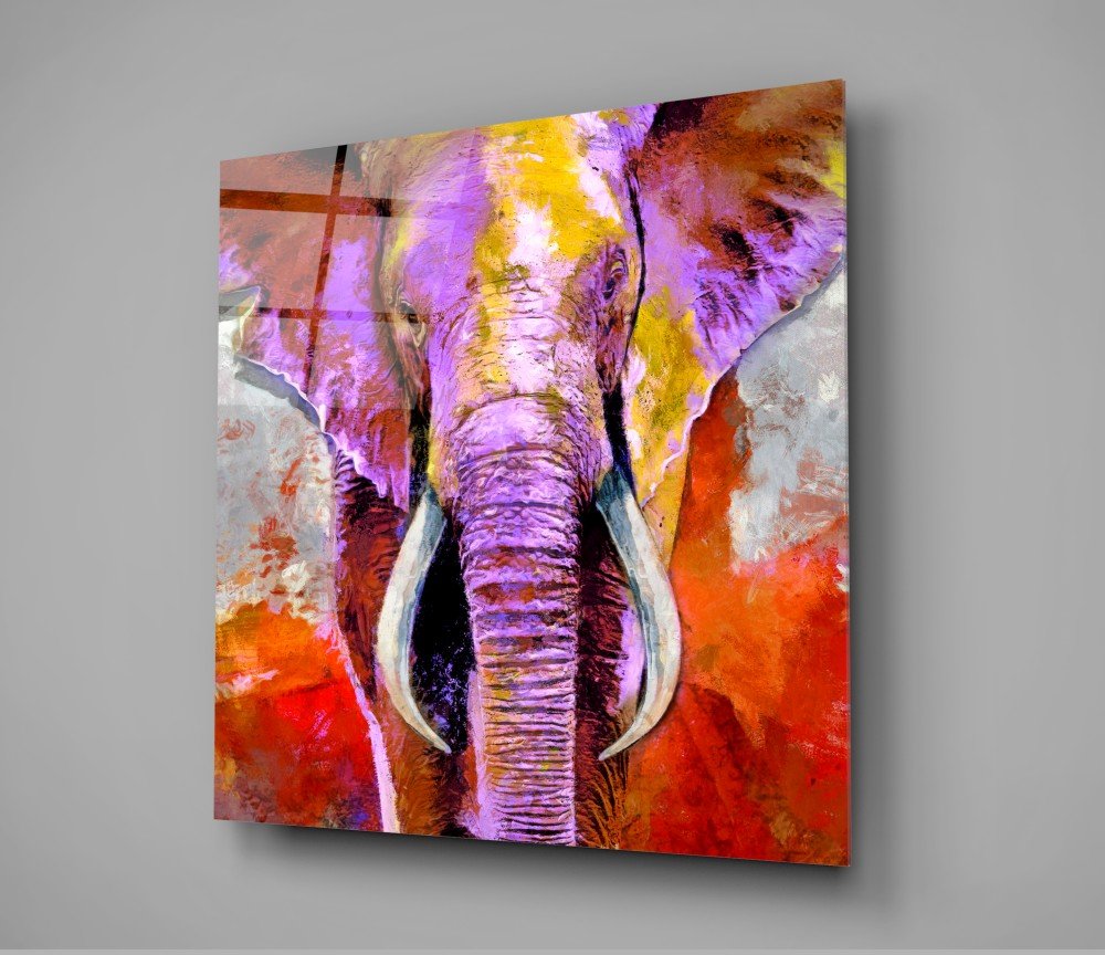 Glasschilderij Olifant Kleurrijk - Afbeelding 3