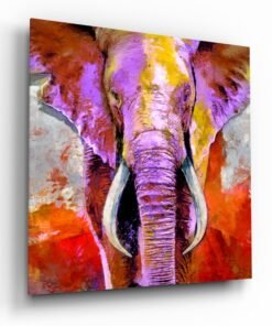 Glasschilderij Olifant Kleurrijk