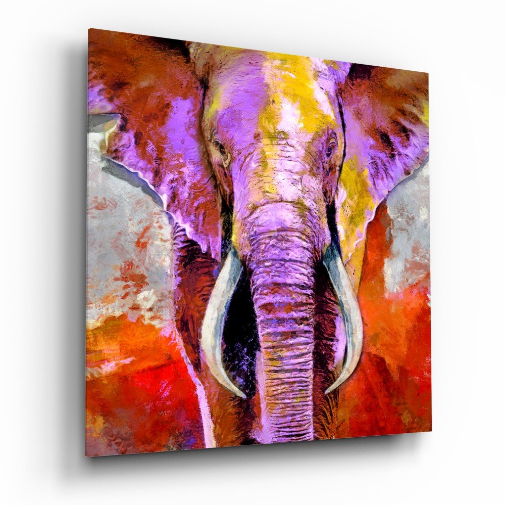 Glasschilderij Olifant Kleurrijk