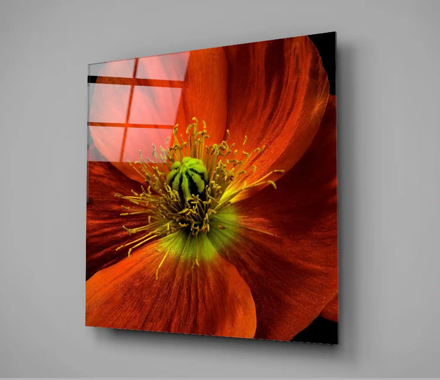 Oranje Bloem Glasschilderij - Afbeelding 3