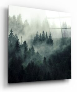 Mistig Bos Glasschilderij