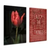 Rode Tulp 2-delig Glasschilderij