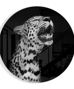Dieren Glasschilderij Luipaard