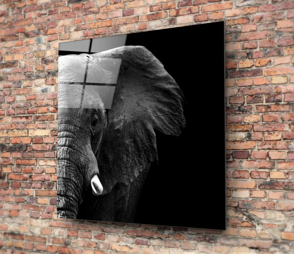Olifant Glasschilderij Dieren (80x80 cm) - Afbeelding 3