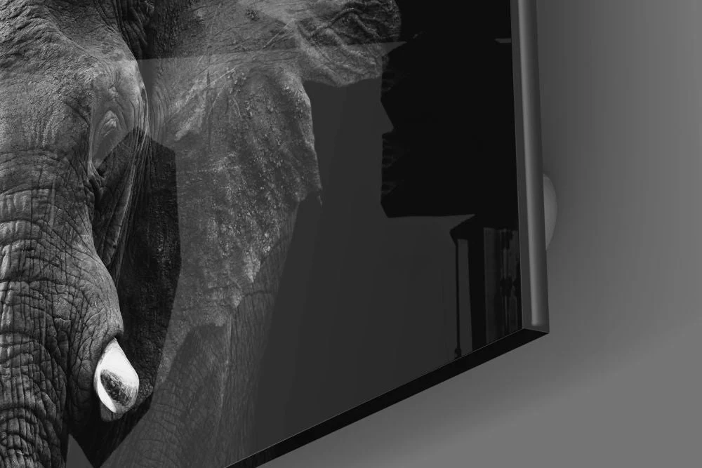 Olifant Glasschilderij Dieren (80x80 cm) - Afbeelding 2