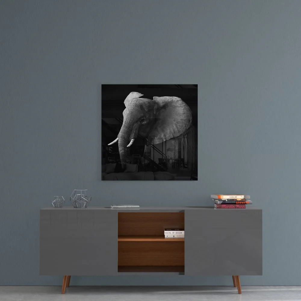 Glasschilderij Dieren Olifant (80x80 cm) - Afbeelding 4