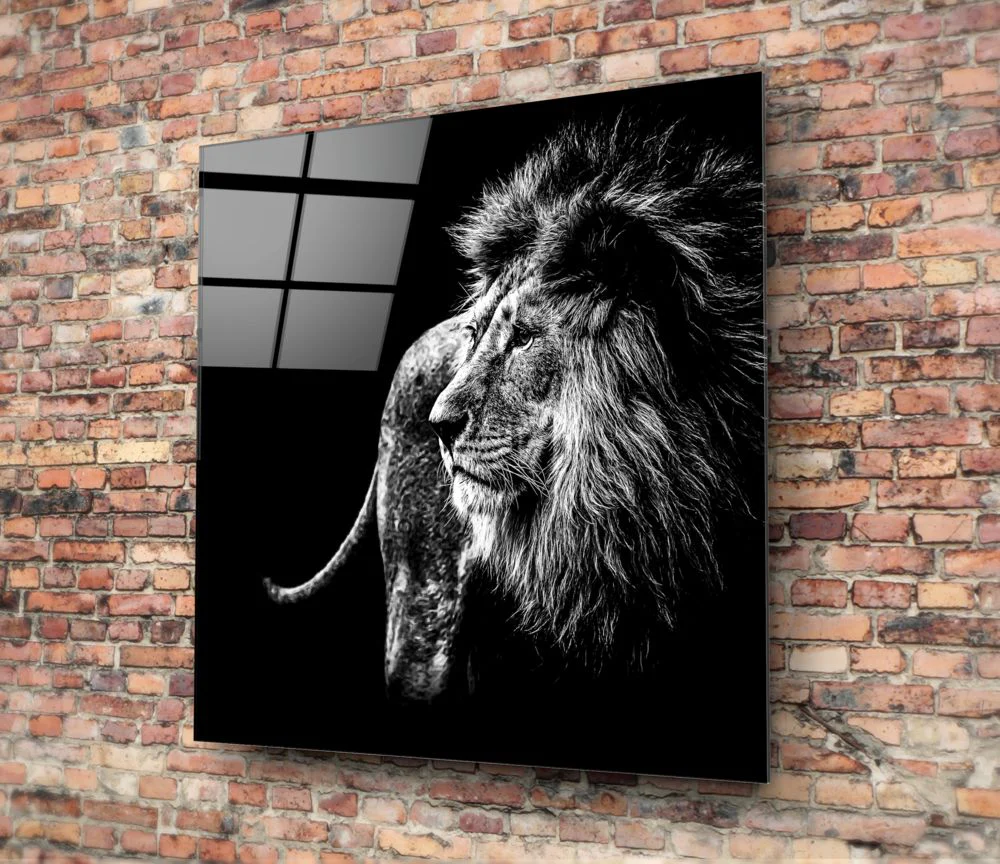 Glasschilderij Dieren Leeuw (80x80 cm) - Afbeelding 3