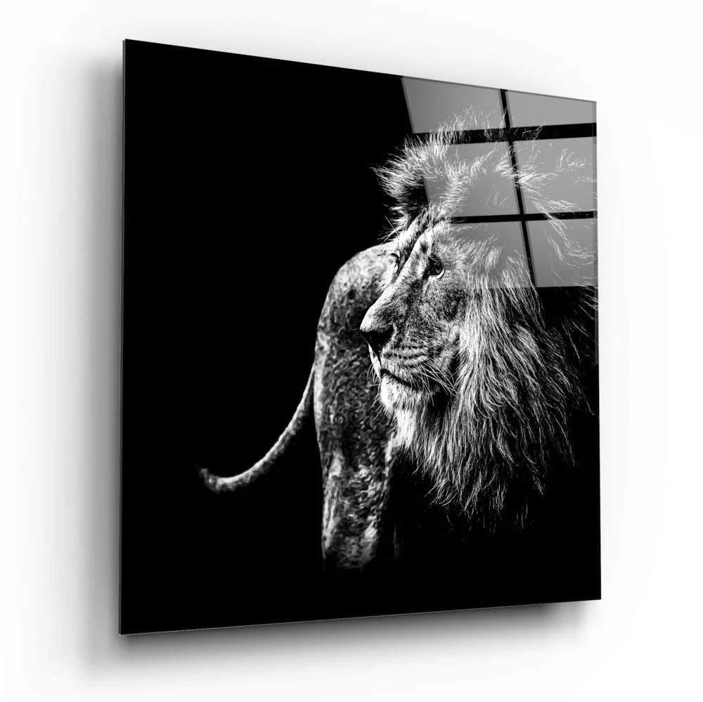 Glasschilderij Dieren Leeuw (80x80 cm)