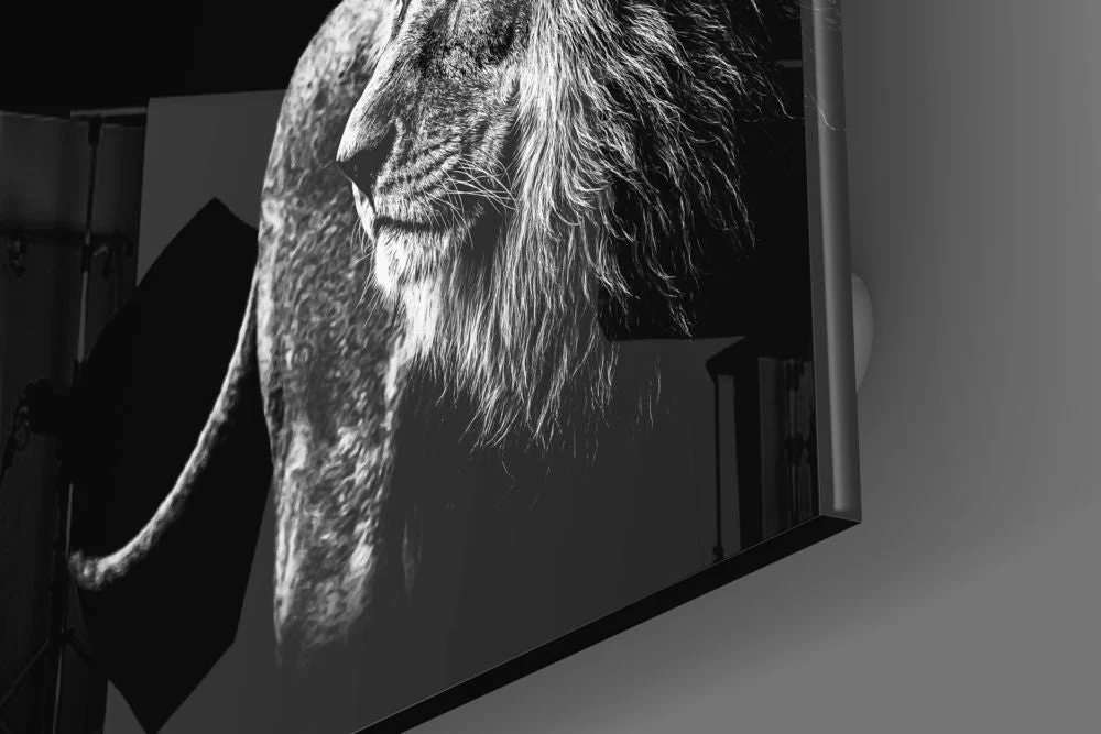 Glasschilderij Dieren Leeuw (80x80 cm) - Afbeelding 2