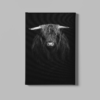 ALIVA 1033 schotse hooglander canvas schilderij a
