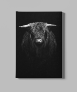 Hooglander Canvas Schilderij