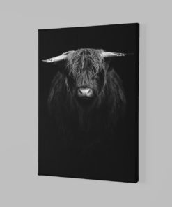 Alternative view of Hooglander Canvas Schilderij