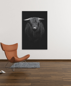 ALIVA 1033 schotse hooglander canvas schilderij c