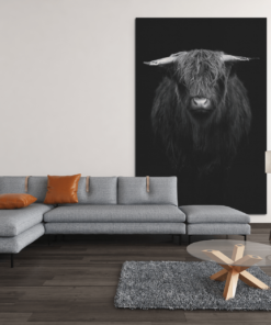 ALIVA 1033 schotse hooglander canvas schilderij d