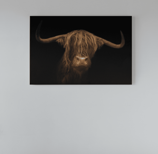 ALIVA 1034 hooglander schotse foto op canvas schilderij a