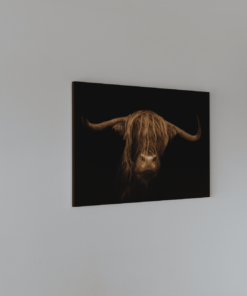 Alternative view of Hooglander Schotsen Foto Op Canvas
