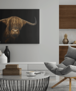 ALIVA 1034 hooglander schotse foto op canvas schilderij d