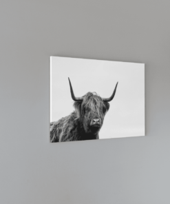 Alternative view of Hoogland Vee Schilderij Canvas