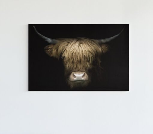 ALIVA 1036 hoogland koe canvas schilderij