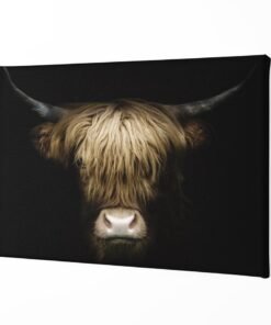 Alternative view of Hoogland koe Canvas Schilderij
