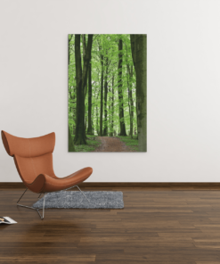 Binnen het bos Canvas Schilderij - Afbeelding 4