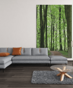 Binnen het bos Canvas Schilderij - Afbeelding 3