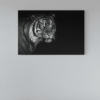 ALIVA 1123 canvas schilderij wild dieren tijger zwart grijs a