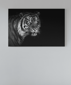 Tijger Grijs Zwart Canvas Schilderij