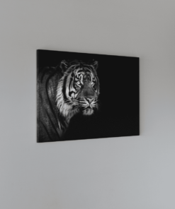 Alternative view of Tijger Grijs Zwart Canvas Schilderij