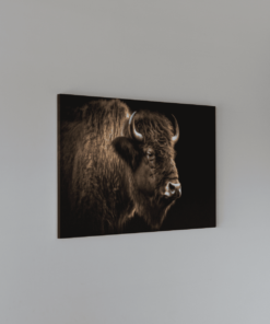 Alternative view of Canvas Schilderij Dieren Bizon