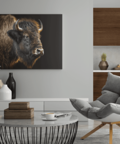 Canvas Schilderij Dieren Bizon - Afbeelding 3