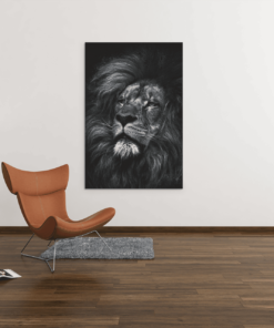 ALIVA 1155 wilde dieren leeuw grijs canvas schilderij b