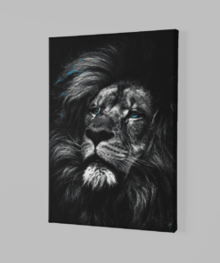 ALIVA 1155 wilde dieren leeuw grijs canvas schilderij c